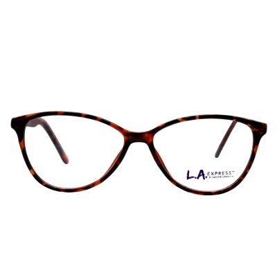 L.A. EXPRESS  216 BRN